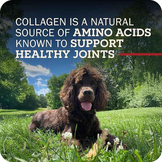 Redbarn Pet Products All-Natural Small 6" Beef Collagen Sticks for Dogs - Long Lasting Low-Odor Alternative to Traditional Rawhide & Bully Sticks - Supports Healthy Joints, Skin, & Coat - 5 Pack