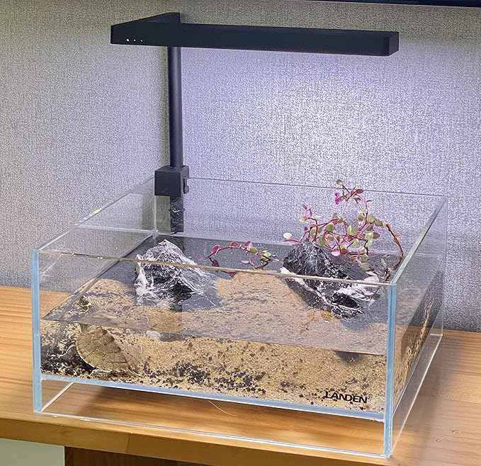 LANDEN Glass Air Aquarium Tank Multi-Scene Landscape Aquarium, 1.6Gallon Rimless Low Iron Shallow Tank,10.63" W×10.63" D×4.72" H (27cmx27cmx12cm) 5mm Thickness