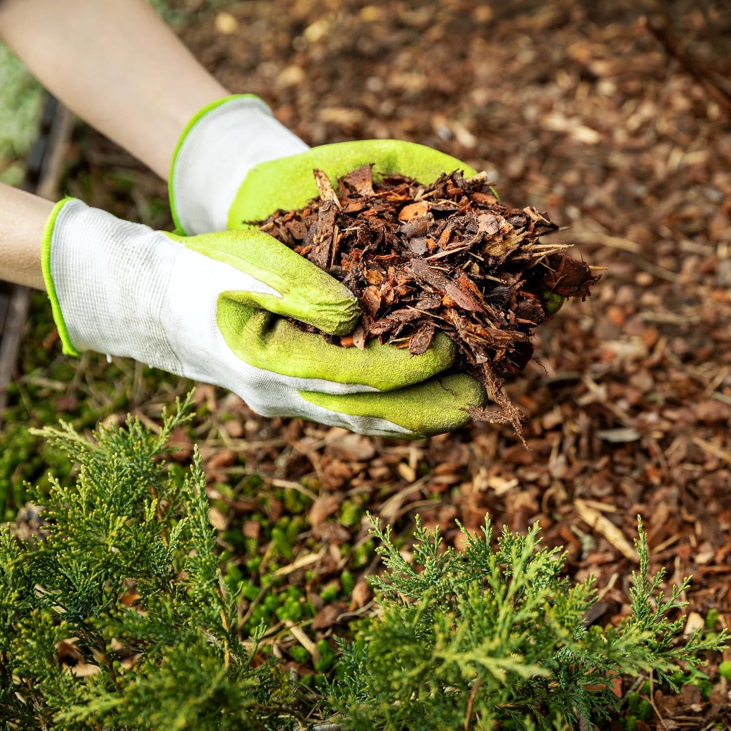 Premium Cypress Mulch for Landscaping, Gardens, Lawns, Reptile Bedding, and Potted Plants (1.3 CF - 37 L - 39 QTS)