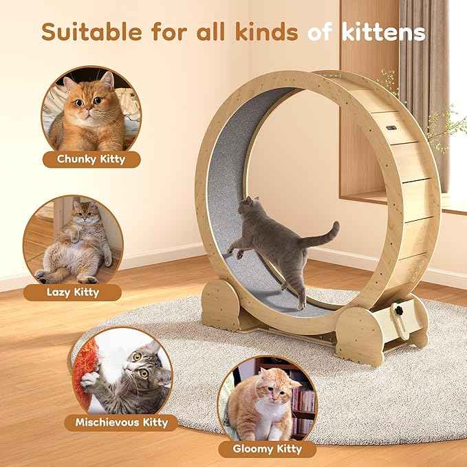 Cat Wheel for Indoor Cats, 46" Large Cat Exercise Wheel with Detachable Carpet, Silent Cat Treadmill with Safety Lock for Small & Adult Cats, Quiet for Nighttime Use, Natural Wood Color