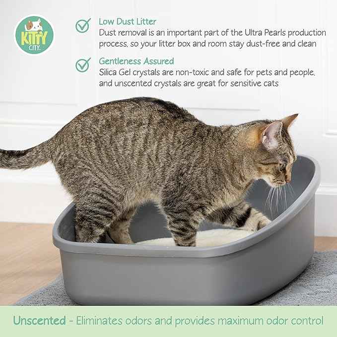 Kitty City pH Detecting Crystal Cat Litter, Silica Gel Crystals for Odor Control, Low Dust & Unscented, Health Monitoring Cat Litter, 6 lb