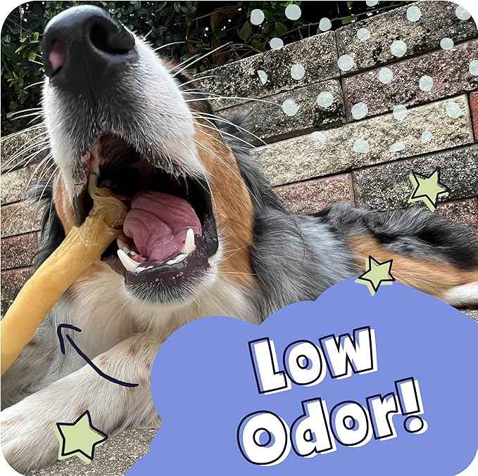Pawstruck Natural Large Collagen Stick Springs for Dogs - Vet-Approved Long Lasting Alternative to Traditional Rawhide & Bully Sticks with Glucosamine & Chondroitin - 4 Pack - Packaging May Vary