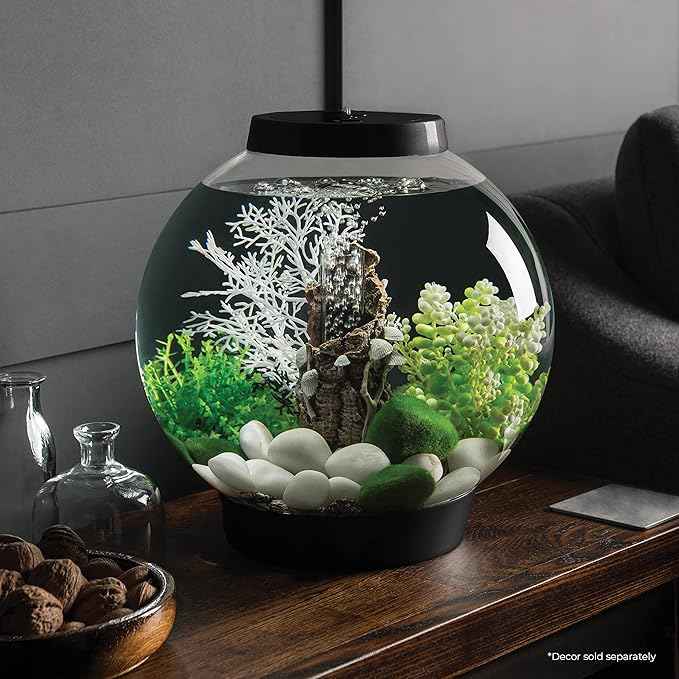 biOrb Classic 15 Acrylic 4-Gallon Aquarium with White LED Lights Modern Compact Tank for Tabletop or Desktop Display, Black-Trimmed Tank