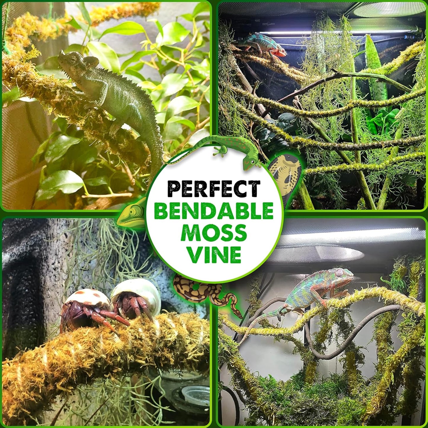 Duspro 6.5FT Reptile Vine & Moss Set for Climbing Bendable Branch, Natural Moss Rope Jungle Decor for Bearded Dragon, Chameleon Tank Accessories, Snake Gecko Lizard Terrarium