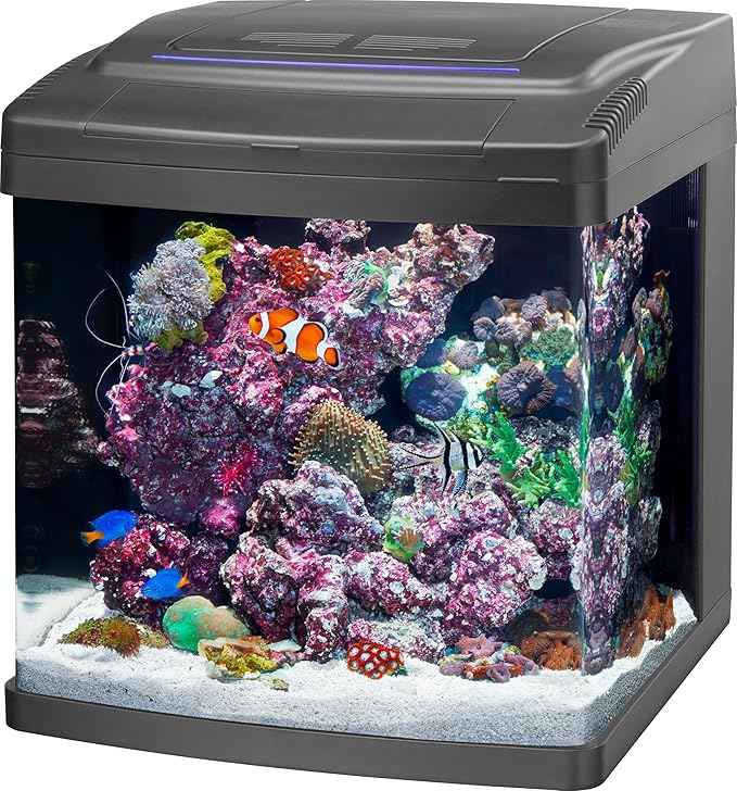 Coralife Smart BioCube Jr, Aquarium Kit, Wi-Fi and Bluetooth Compatible, for Saltwater and Freshwater Environments, 14 Gallons