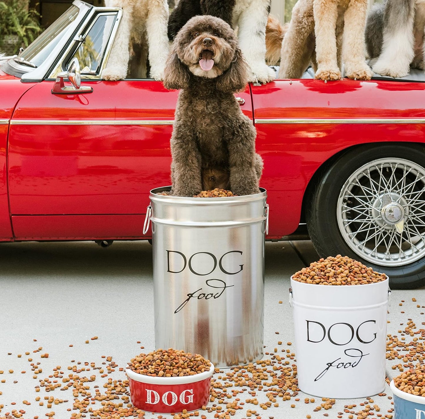 Harry Barker Pet Food Storage Collection, Classic Silver Food Storage - Medium