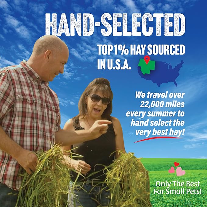 Small Pet Select 3rd Cutting Timothy Hay, Animal Food for Guinea Pig, Rabbit, Hamster, Bunny, or Chinchilla, Natural Hay Grown in The USA, 5lb